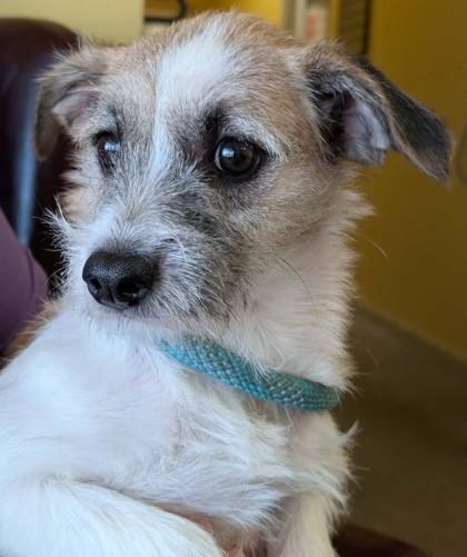 Evanescence thumbnail 2