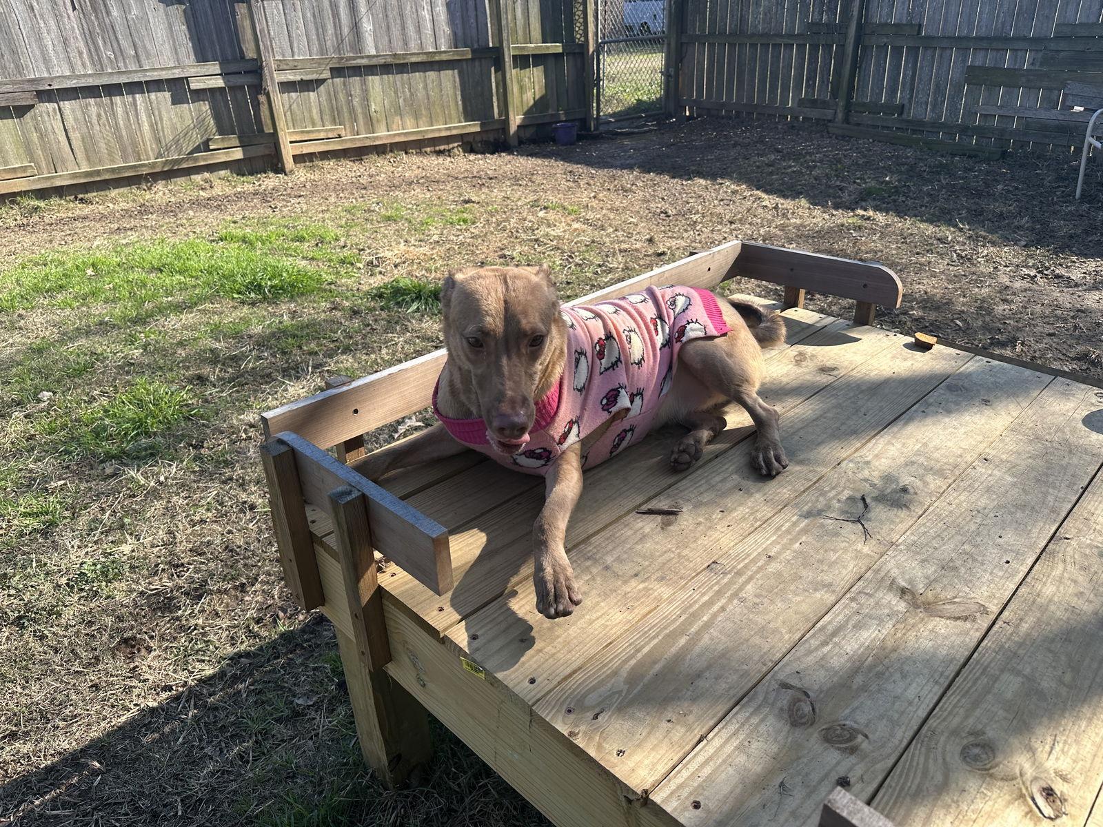 April — thumbnail 2