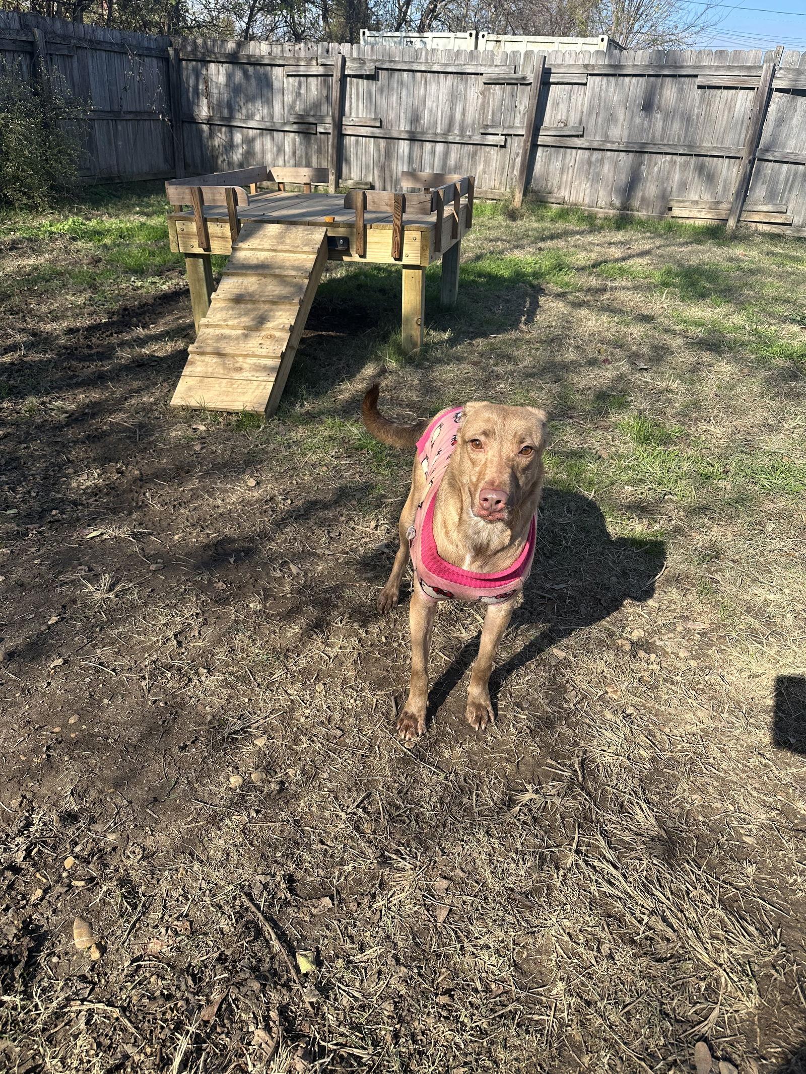 April — thumbnail 3