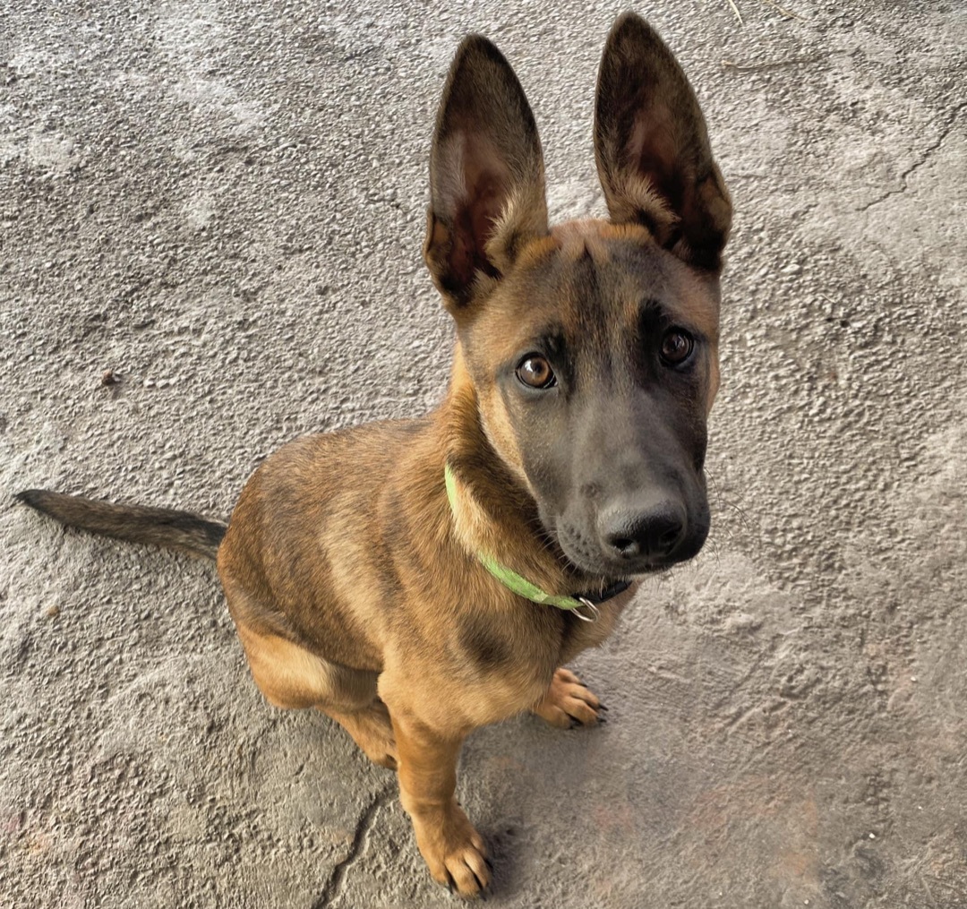 Sam-out on an adoption tryout, Baby Female unknown