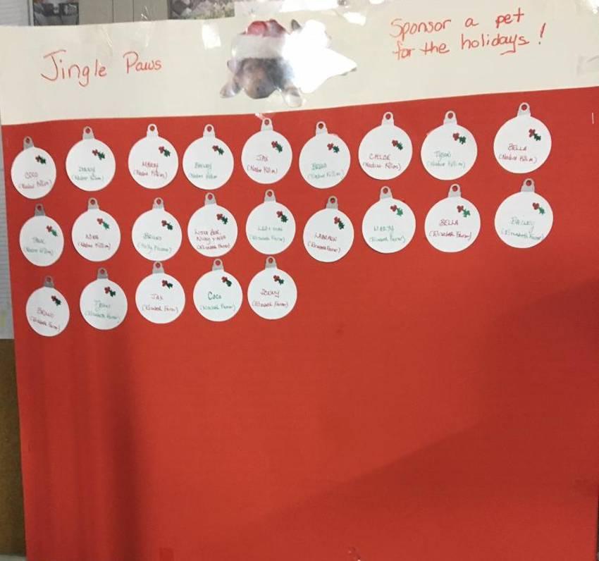 JINGLE PAWS FUNDRAISER