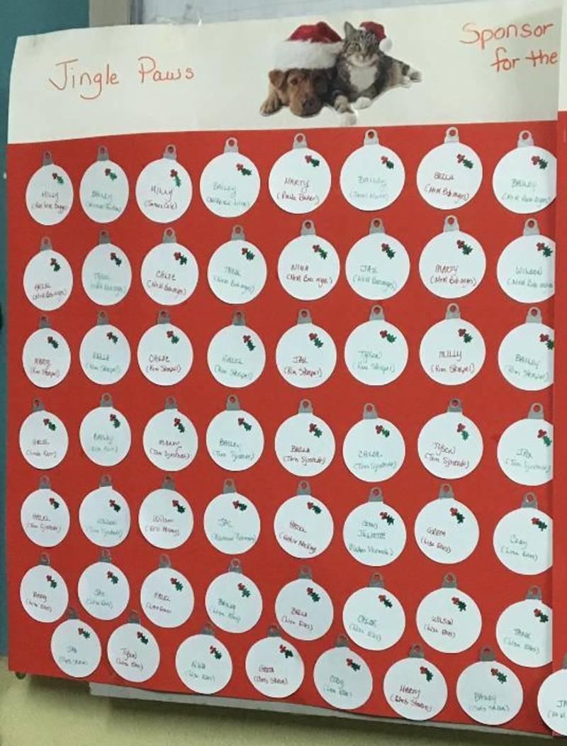 Enlarge JINGLE PAWS FUNDRAISER, a Adoptable Shepherd in Taunton, MA image 3/3