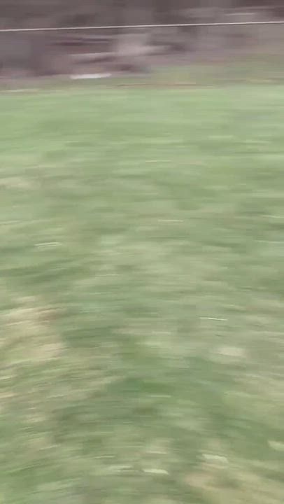 Enlarge Fiona, a Adoptable mixed breed in Rochester, NY video 5/5