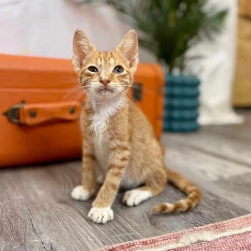 Quinn Daniel — thumbnail 2