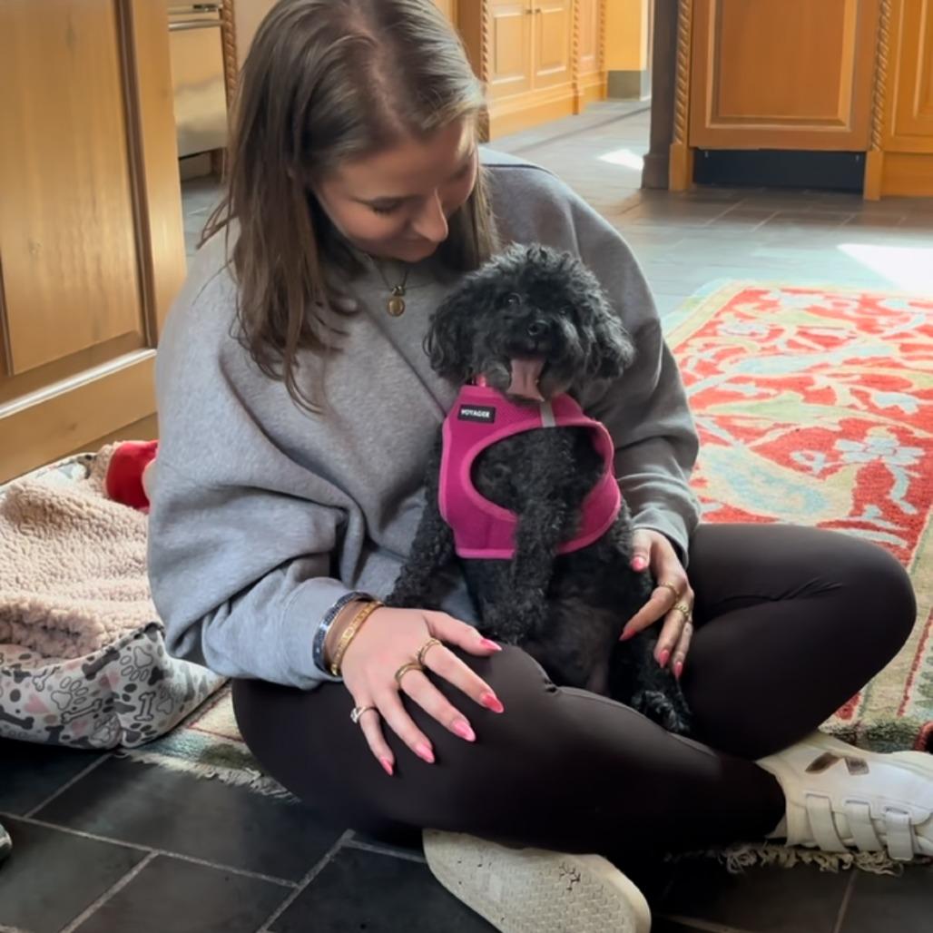 Enlarge Francine, a Adoptable Poodle in Raleigh, NC image 3/6