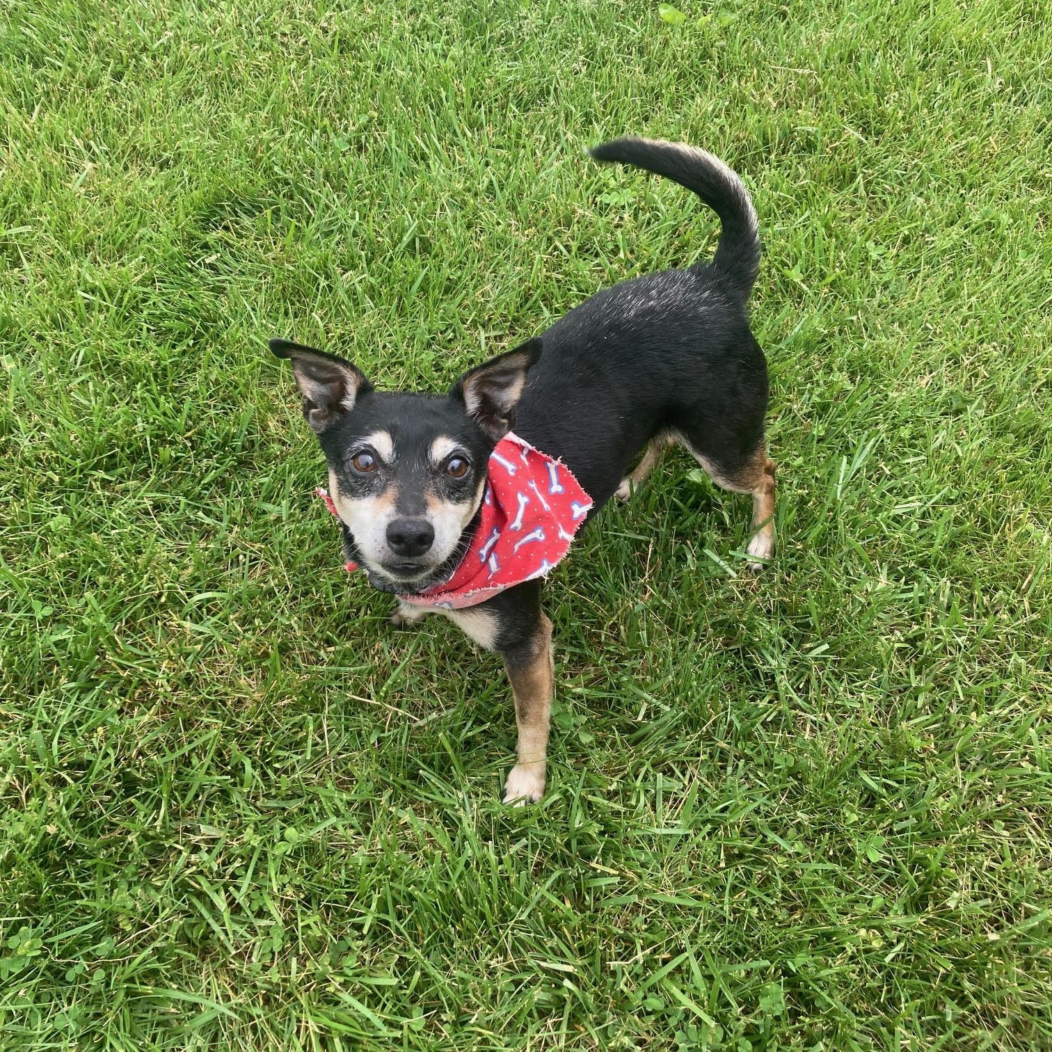 Roscoe - In Foster