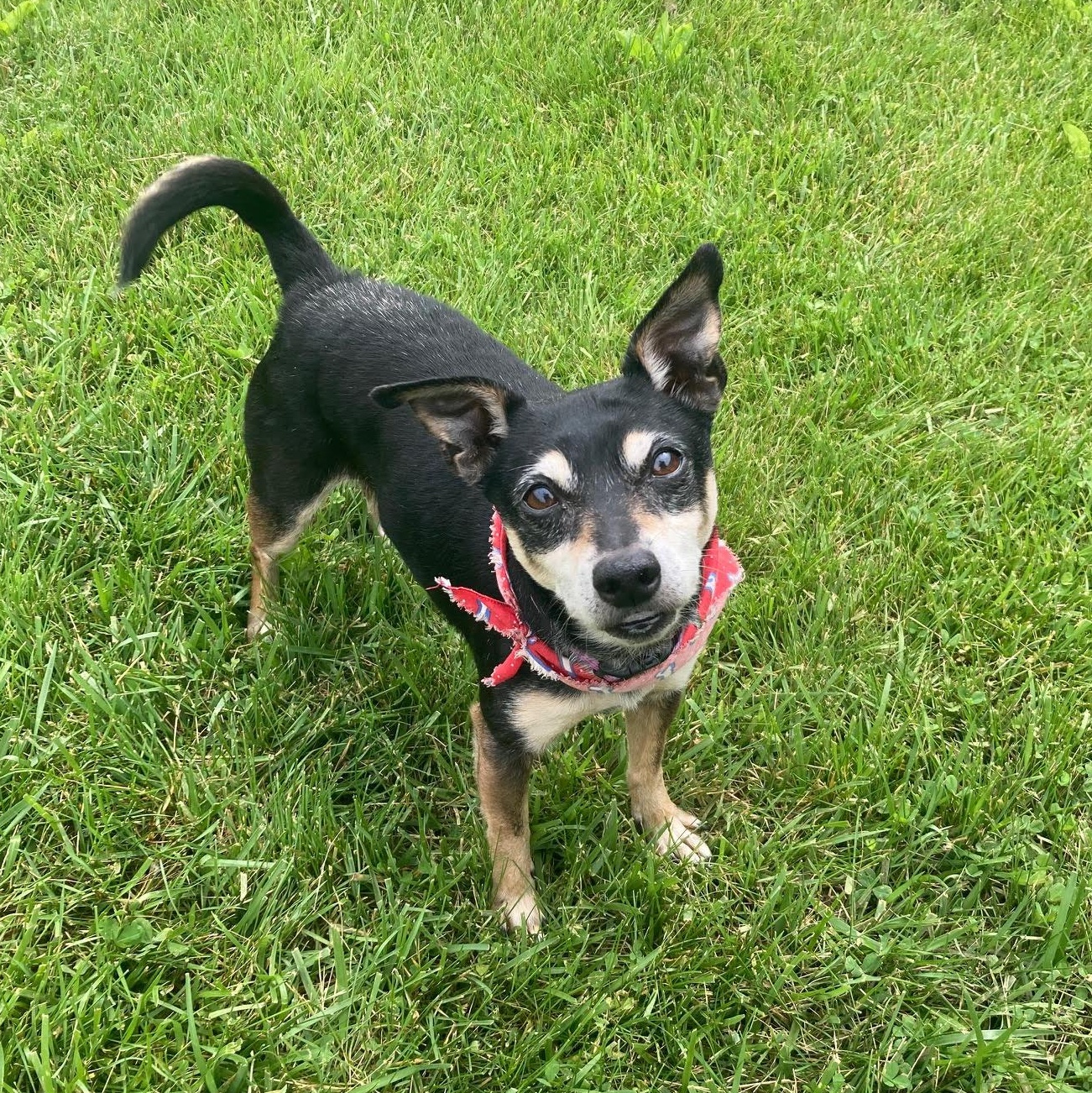 Roscoe - In Foster