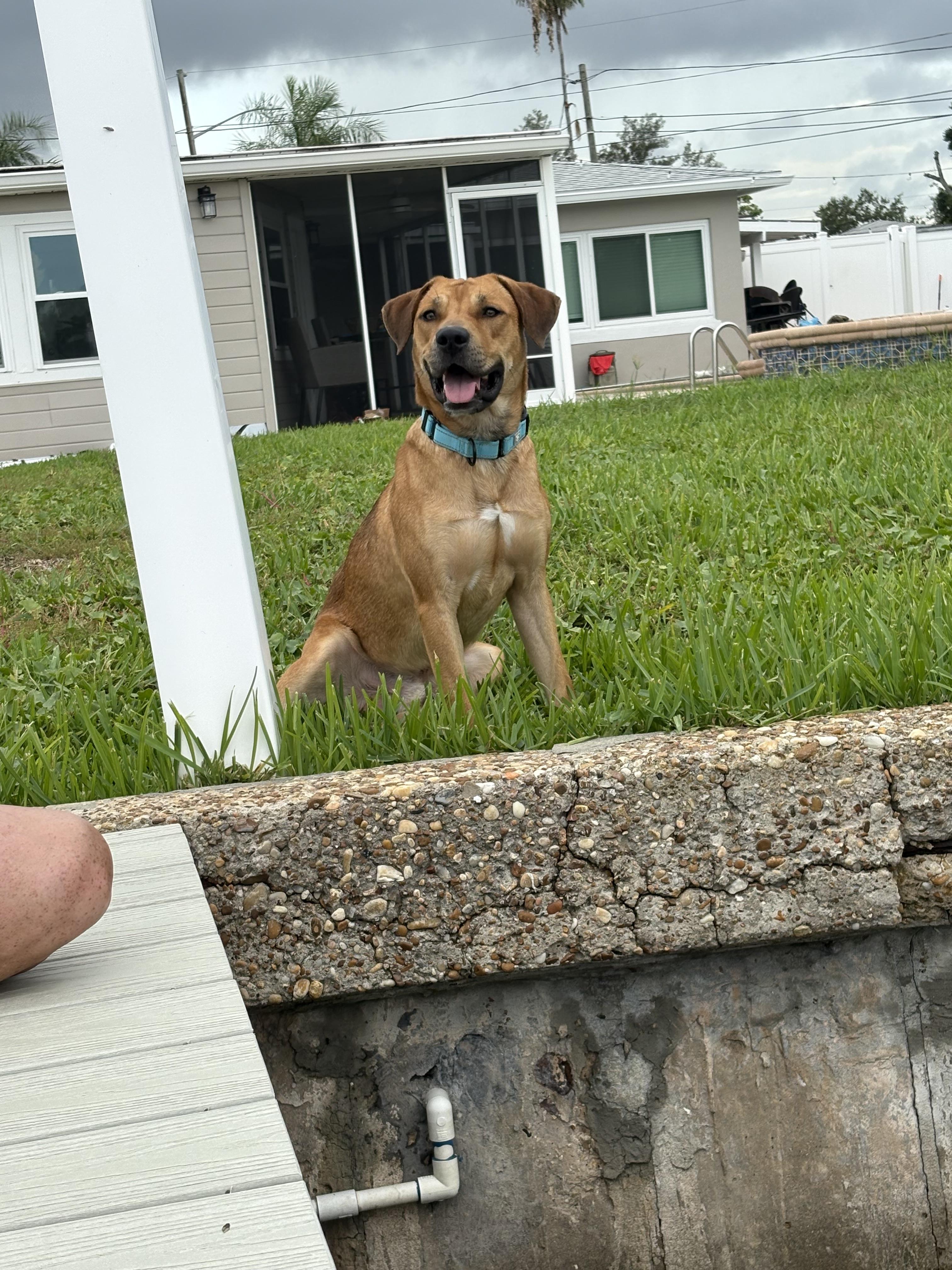 Arlo thumbnail 3