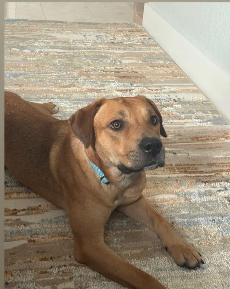 Arlo photo 1