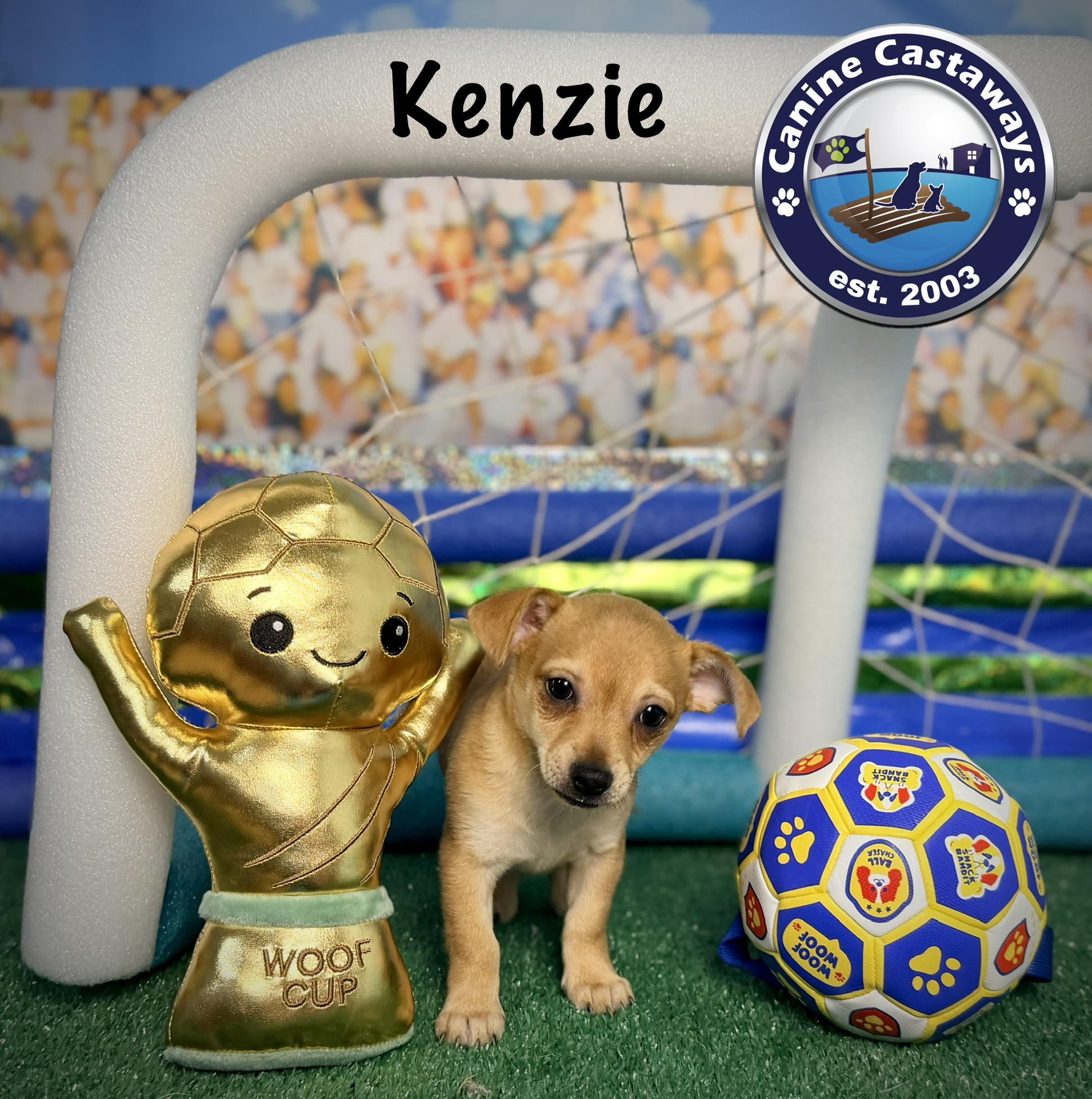 Kenzie, a ADOPTABLE mixed breed in Arcadia, FL image 5/6