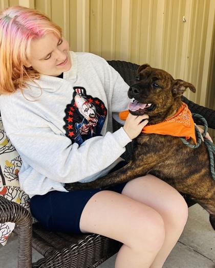 Rosebud Adoption Fee Sponsored, a Adoptable mixed breed in Seneca, SC image 3/3