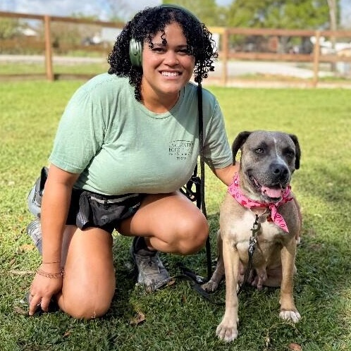 Pippa Love Secret Keeper, a Adoptable mixed breed in Blaine, WA image 2/6