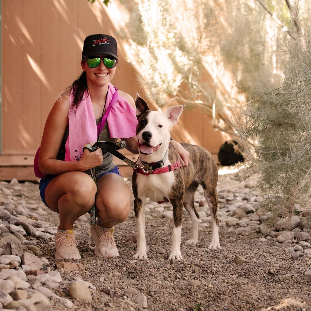 Enlarge Polly Pocket, a Adoptable mixed breed in Albuquerque, NM image 3/6