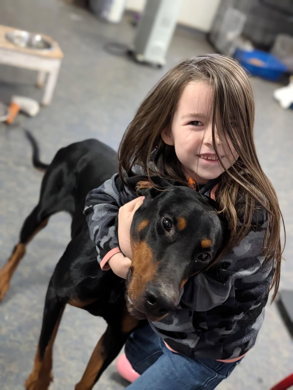 Enlarge Bruno, a ADOPTABLE Doberman Pinscher in Blytheville, AR image 4/4