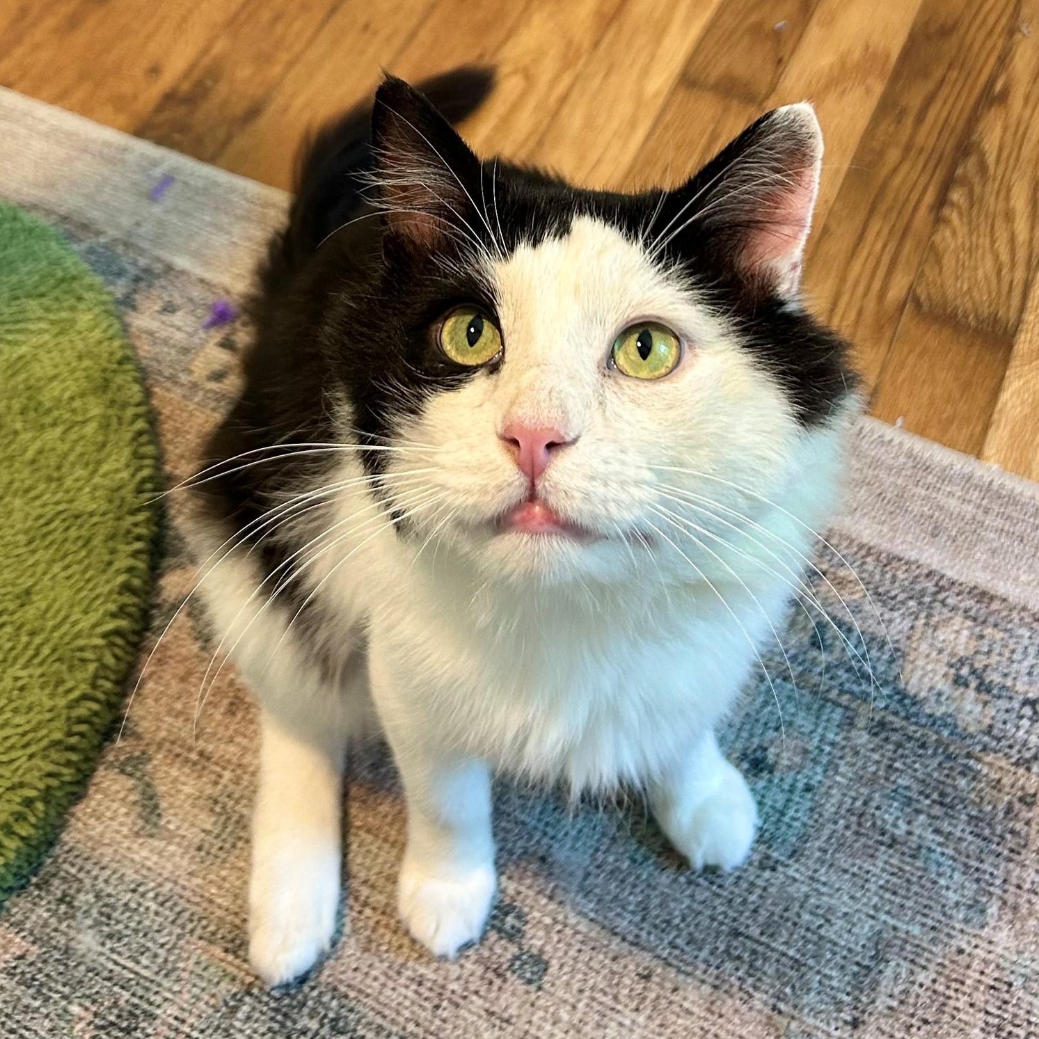 Tux