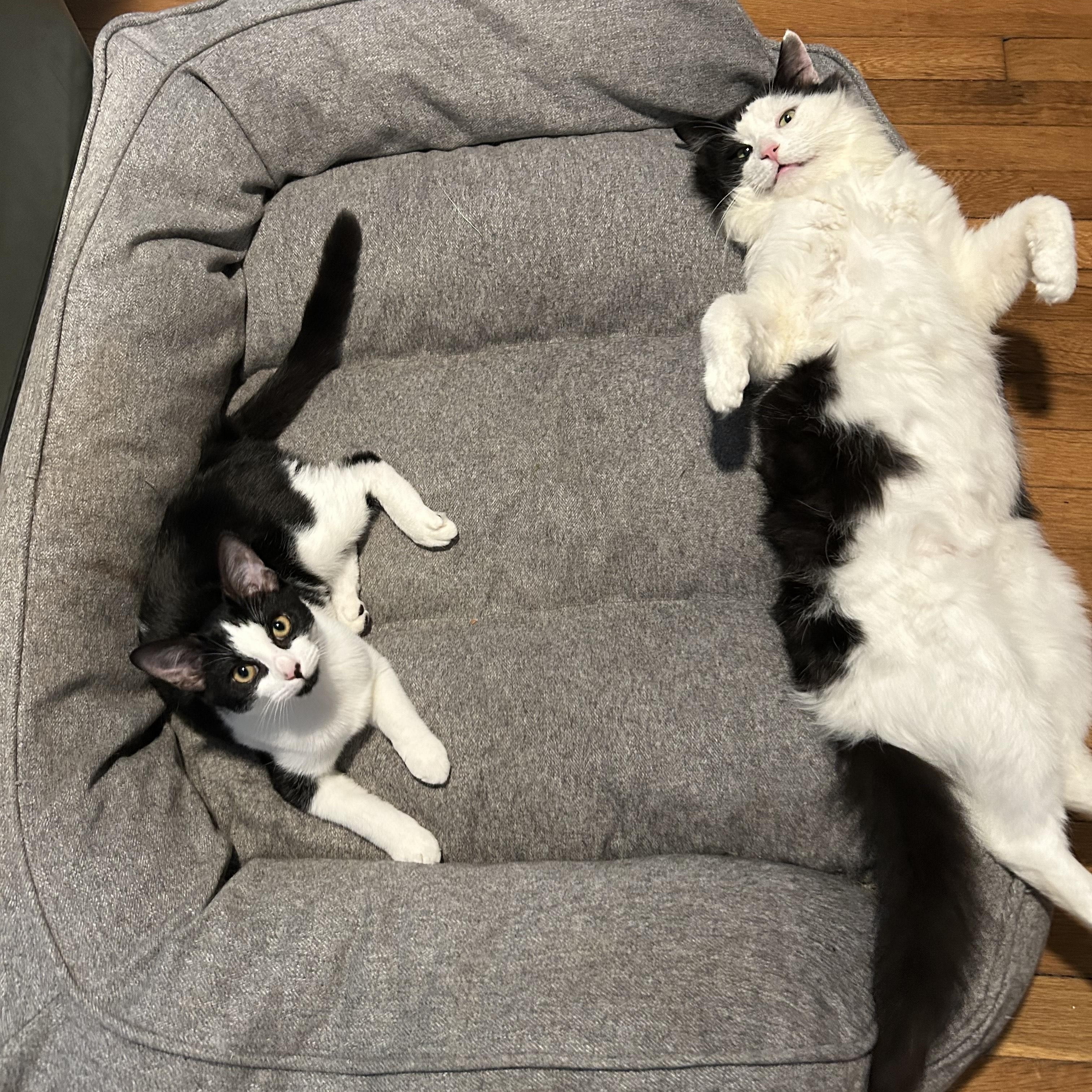 Tux