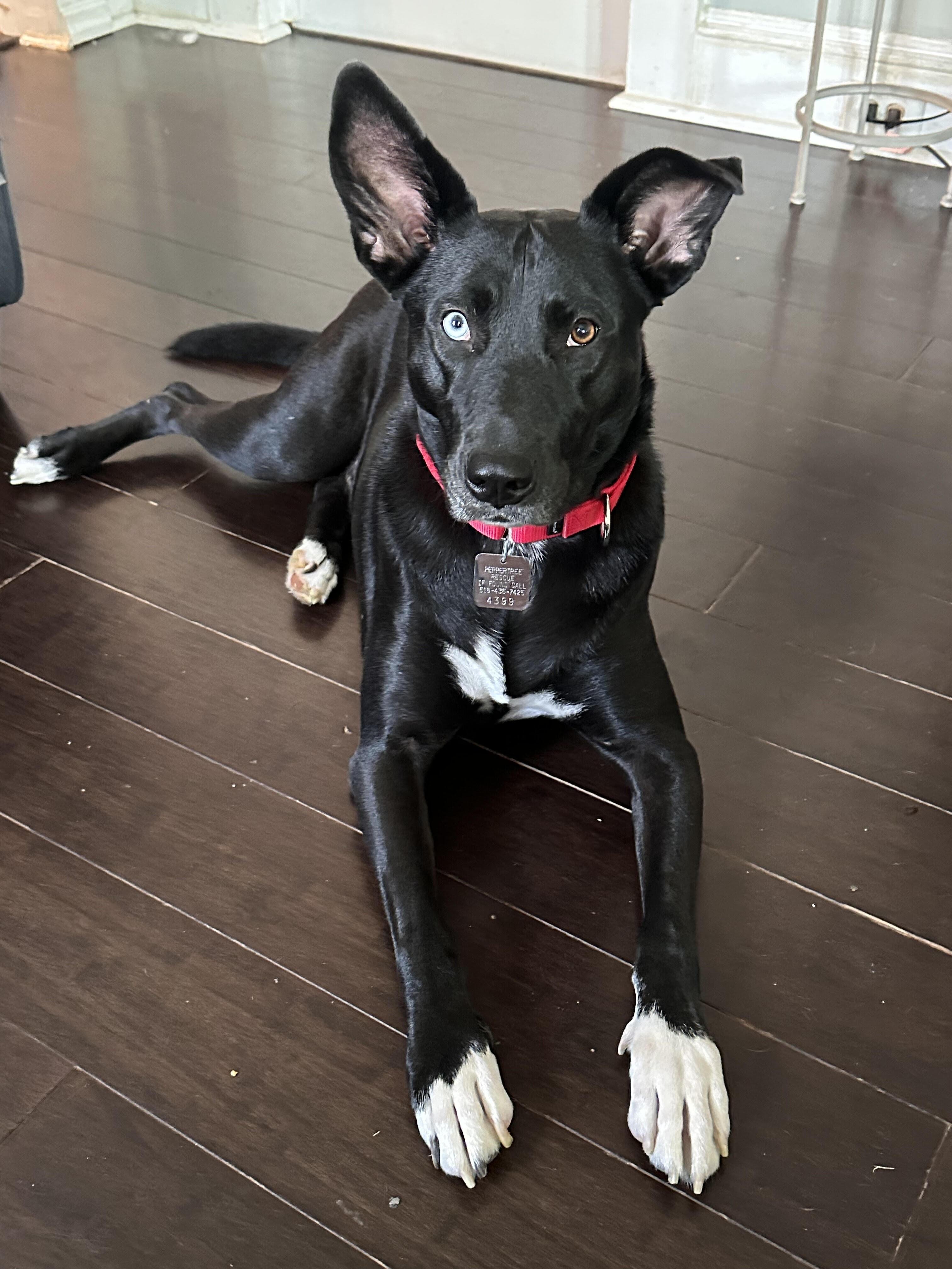 Twyla