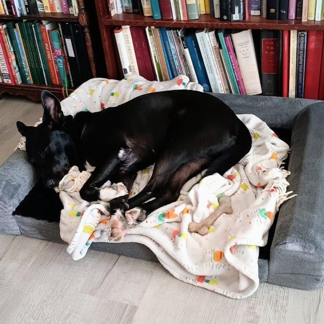 Twyla