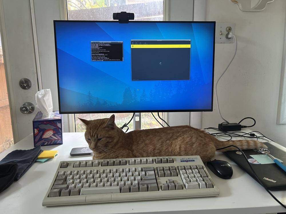 Enlarge Summit, a Adoptable mixed breed in Lafayette, CO image 2/6