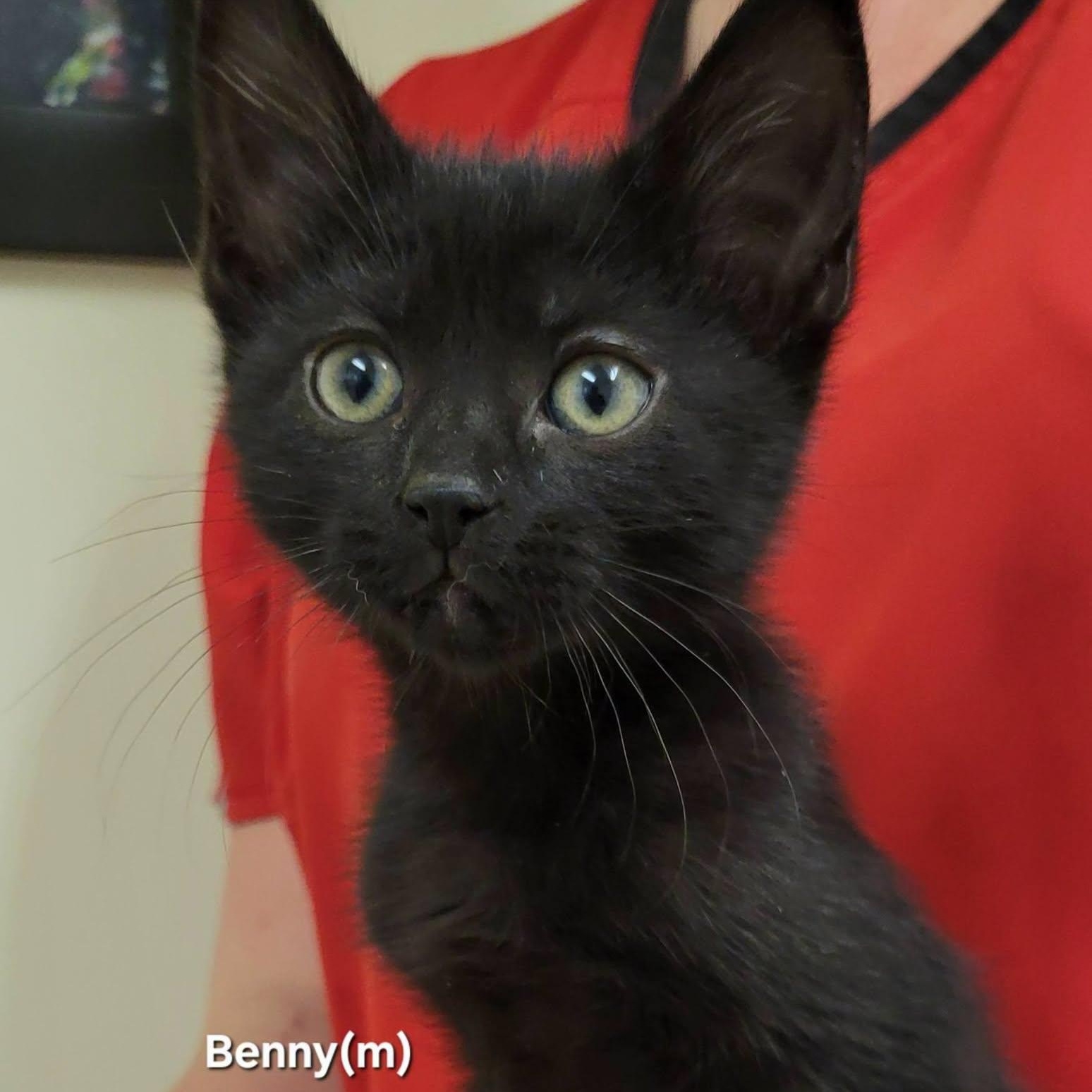 Benny