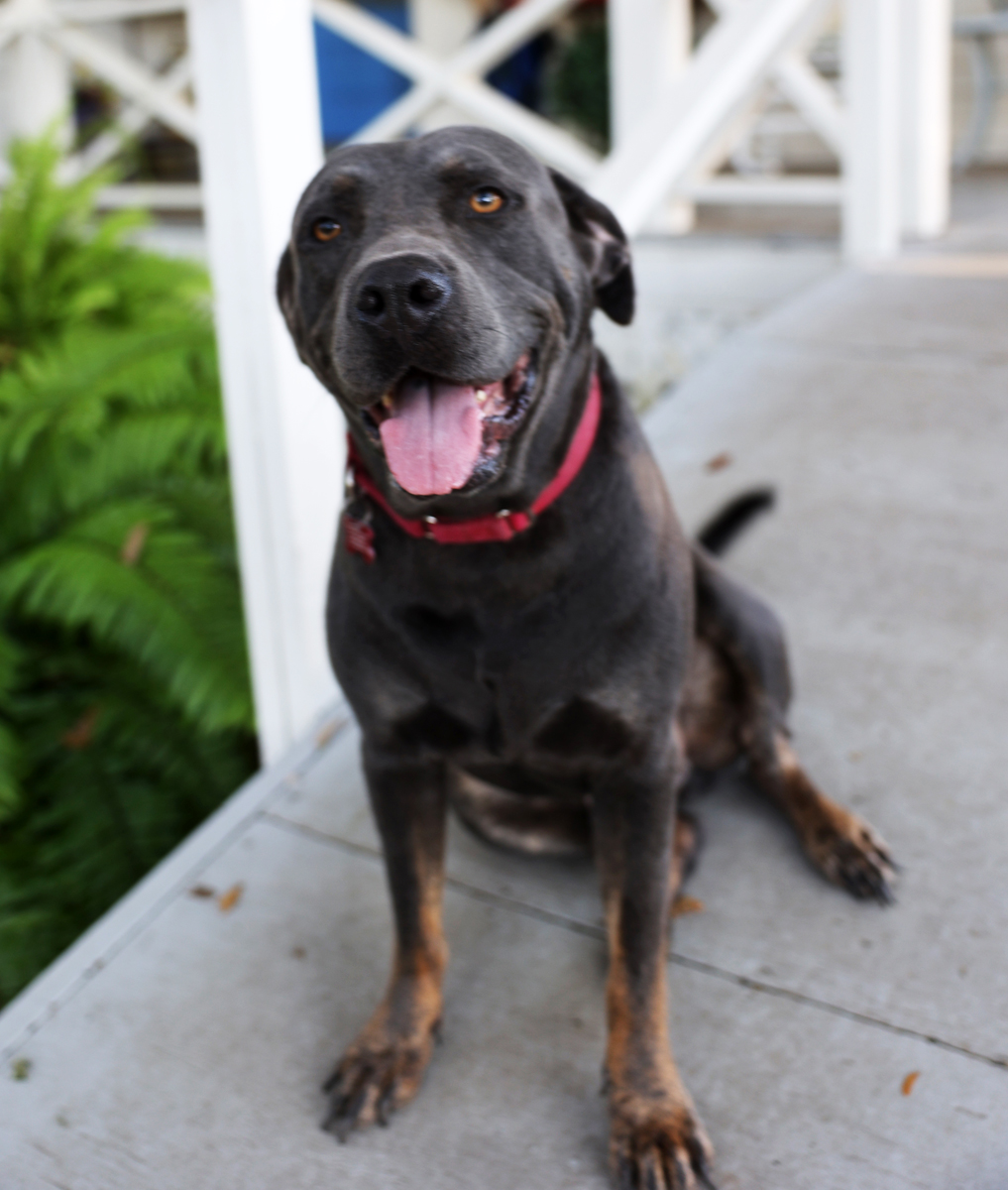 Ken--- loveable and fun boy