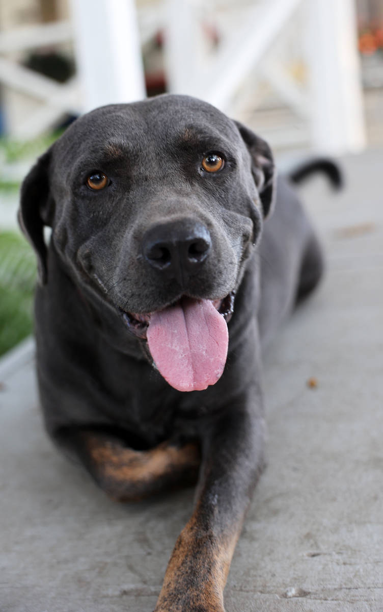 Ken--- loveable and fun boy