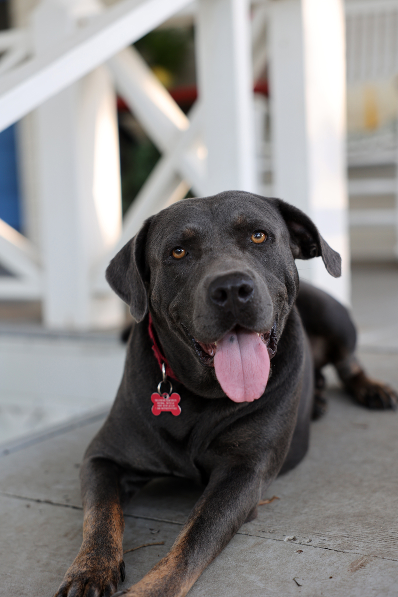 Ken--- loveable and fun boy