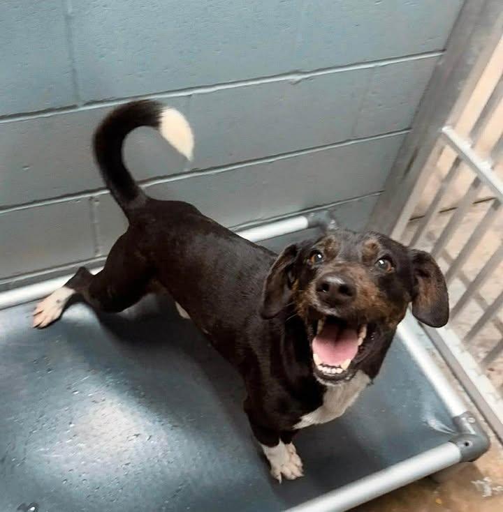 Carl — thumbnail 2