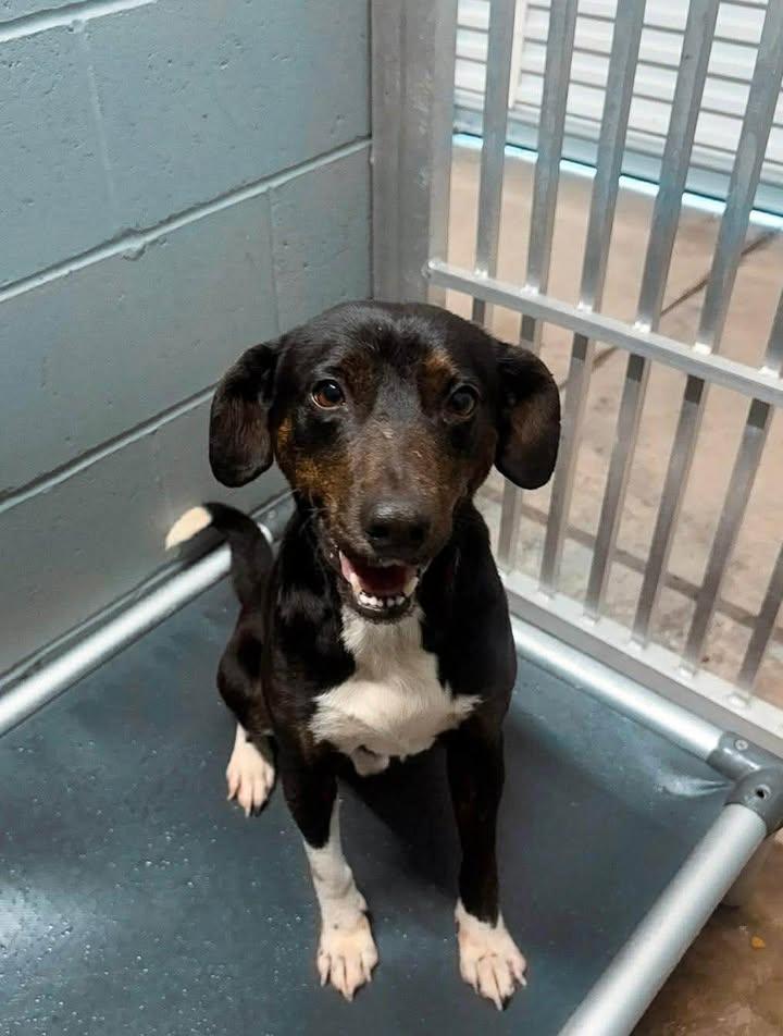 Carl — thumbnail 3