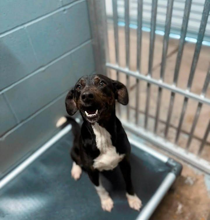 Carl — thumbnail 4