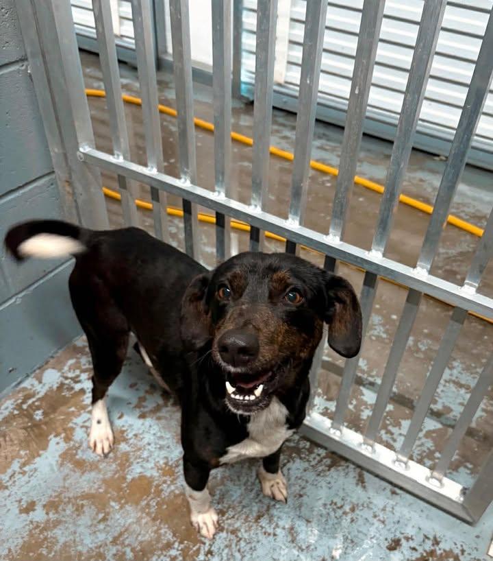 Carl — thumbnail 5