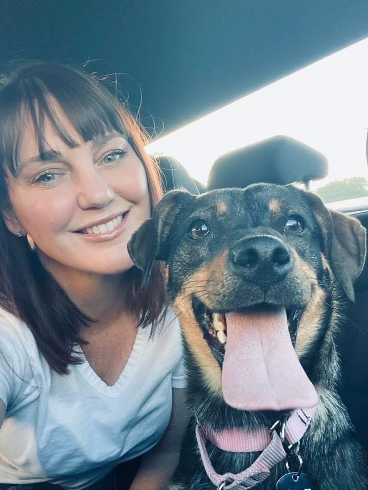 Enlarge Jayde, a ADOPTABLE mixed breed in Fairfax, VA image 2/4