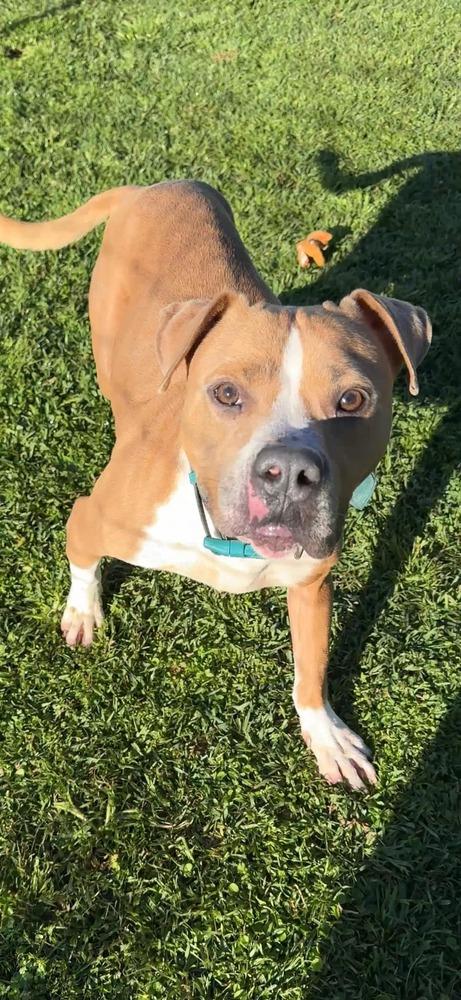 Milton — thumbnail 2