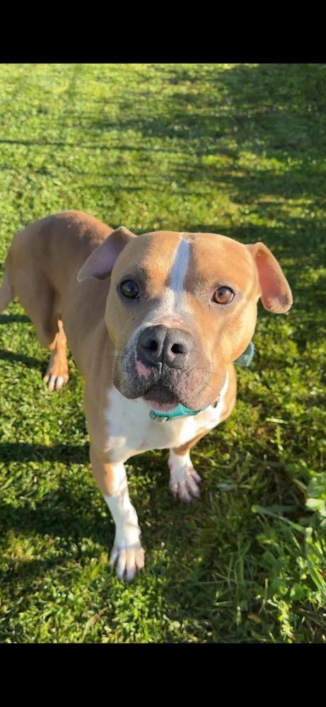 Milton — thumbnail 3