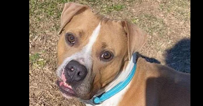 Milton — thumbnail 4