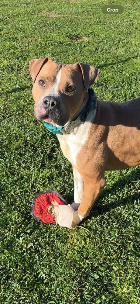 Milton — thumbnail 5