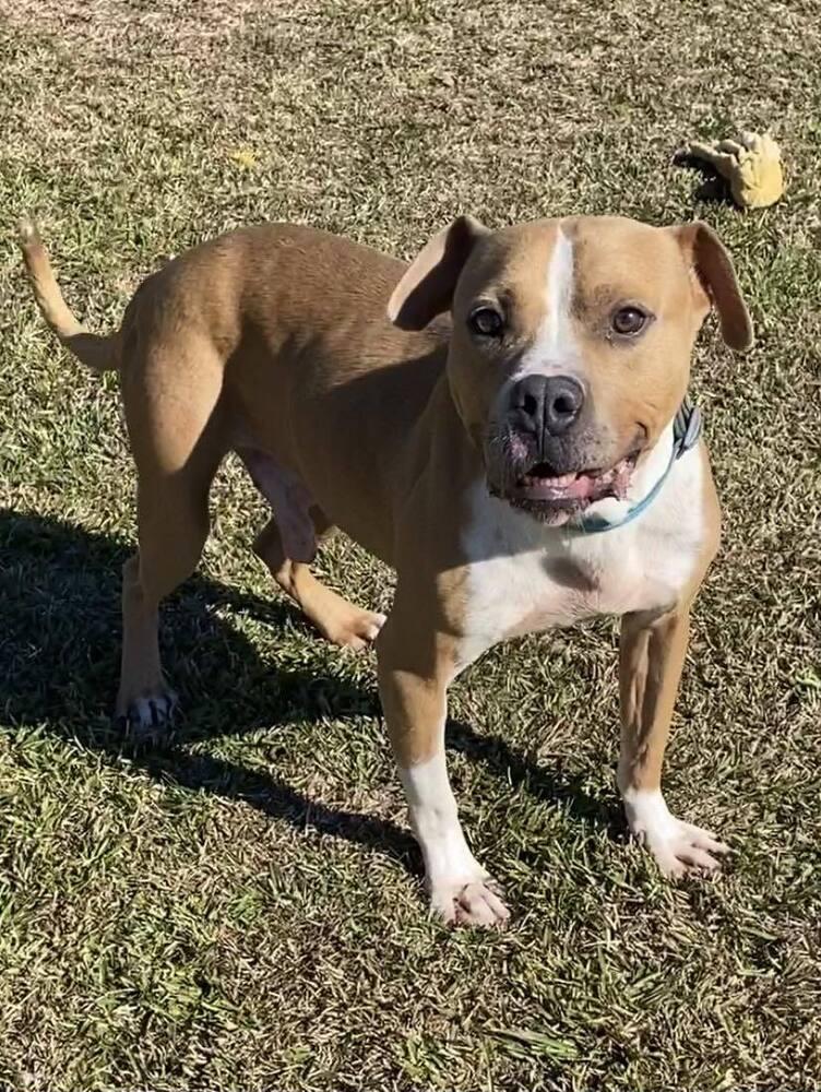 Milton — thumbnail 6