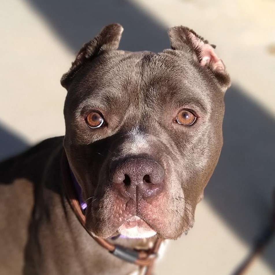 Lucas — thumbnail 2