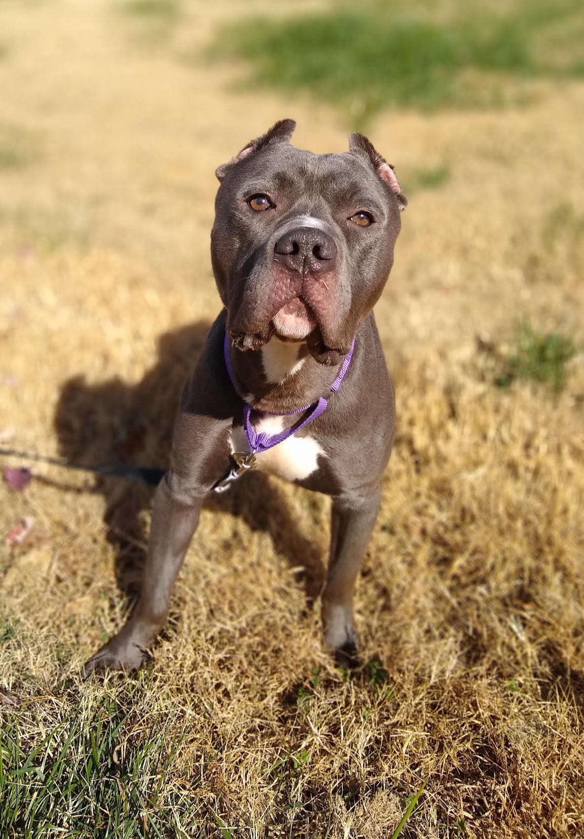 Lucas — thumbnail 3