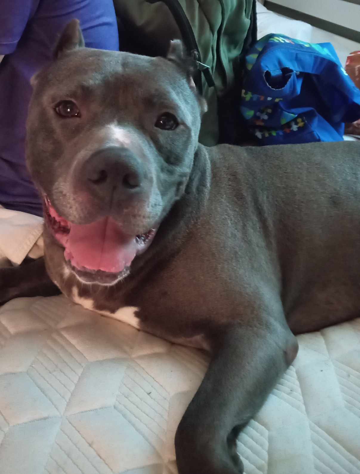 Lucas — thumbnail 5