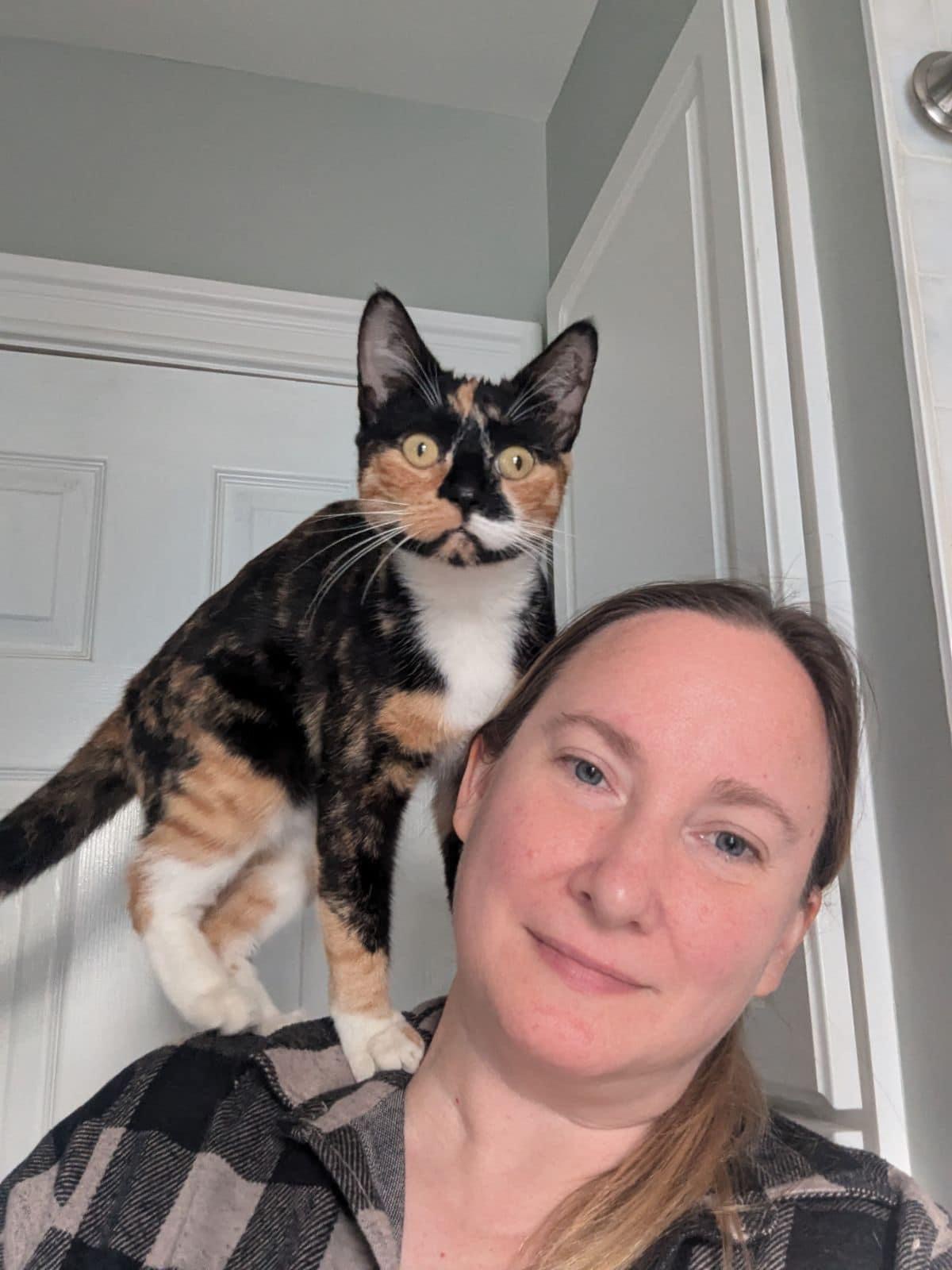 Enlarge Kora, a Adopted mixed breed in Newark, NJ image 5/5