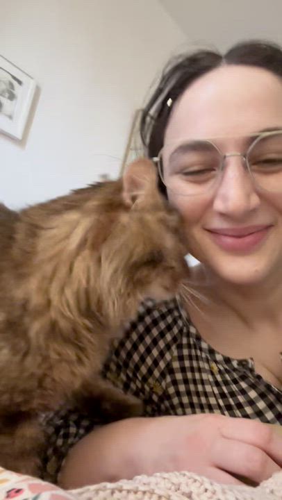 Enlarge Enzo the easy going snuggler, a Adoptable mixed breed in New York, NY video 4/6