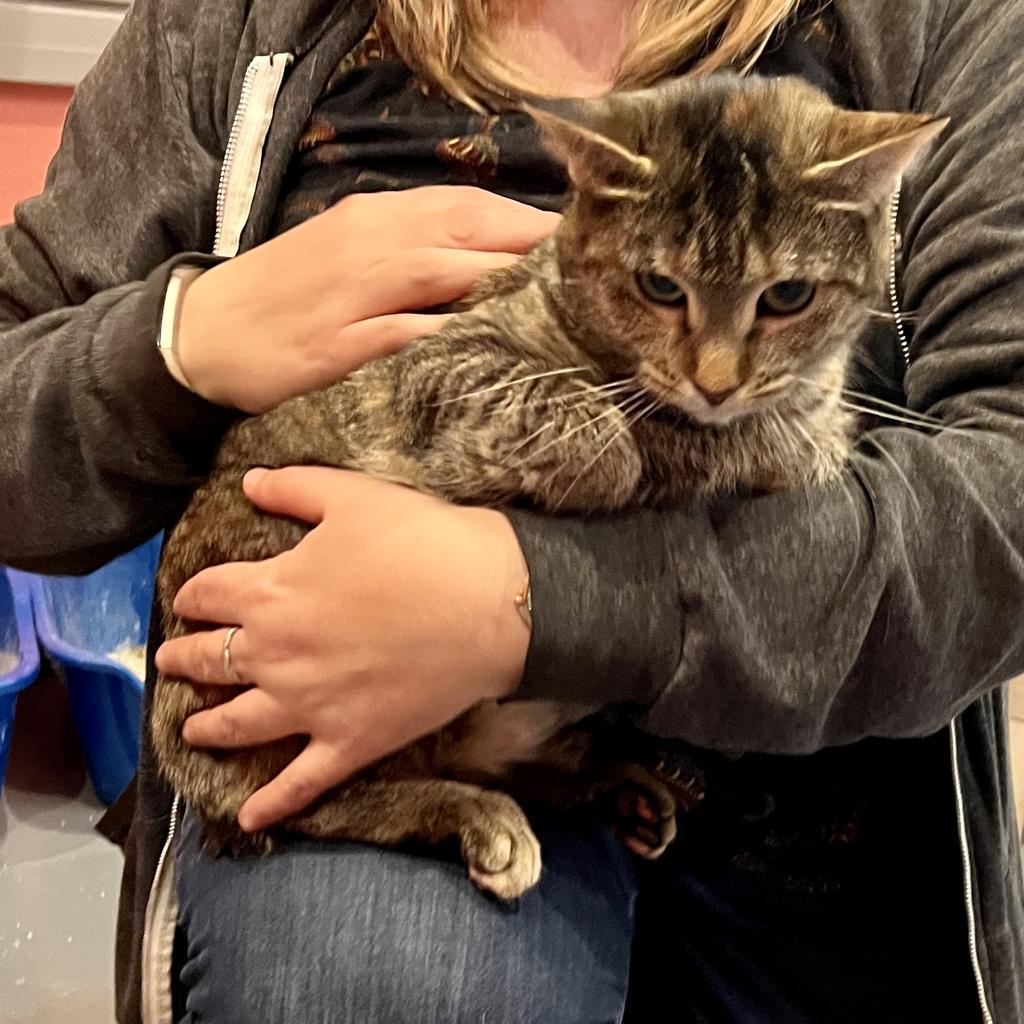 Nena — thumbnail 3