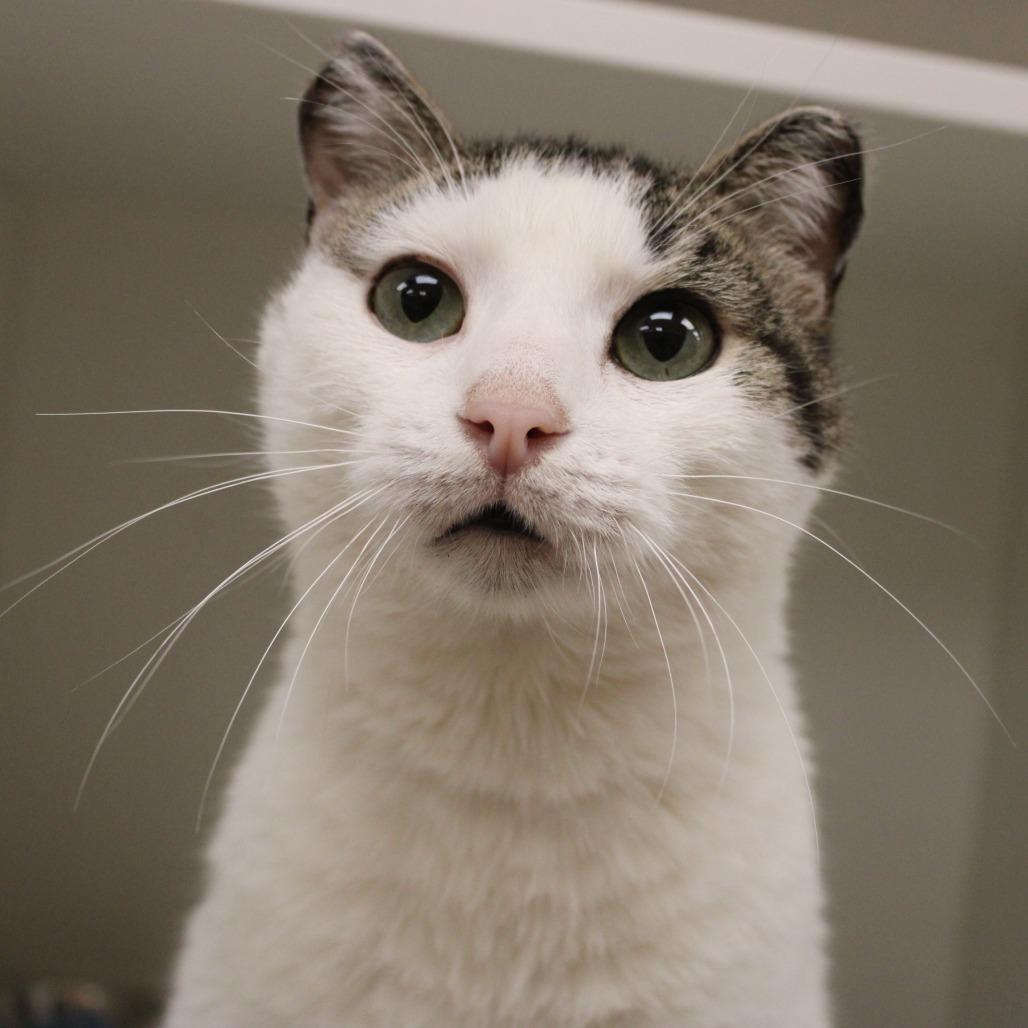 Alexis — thumbnail 3