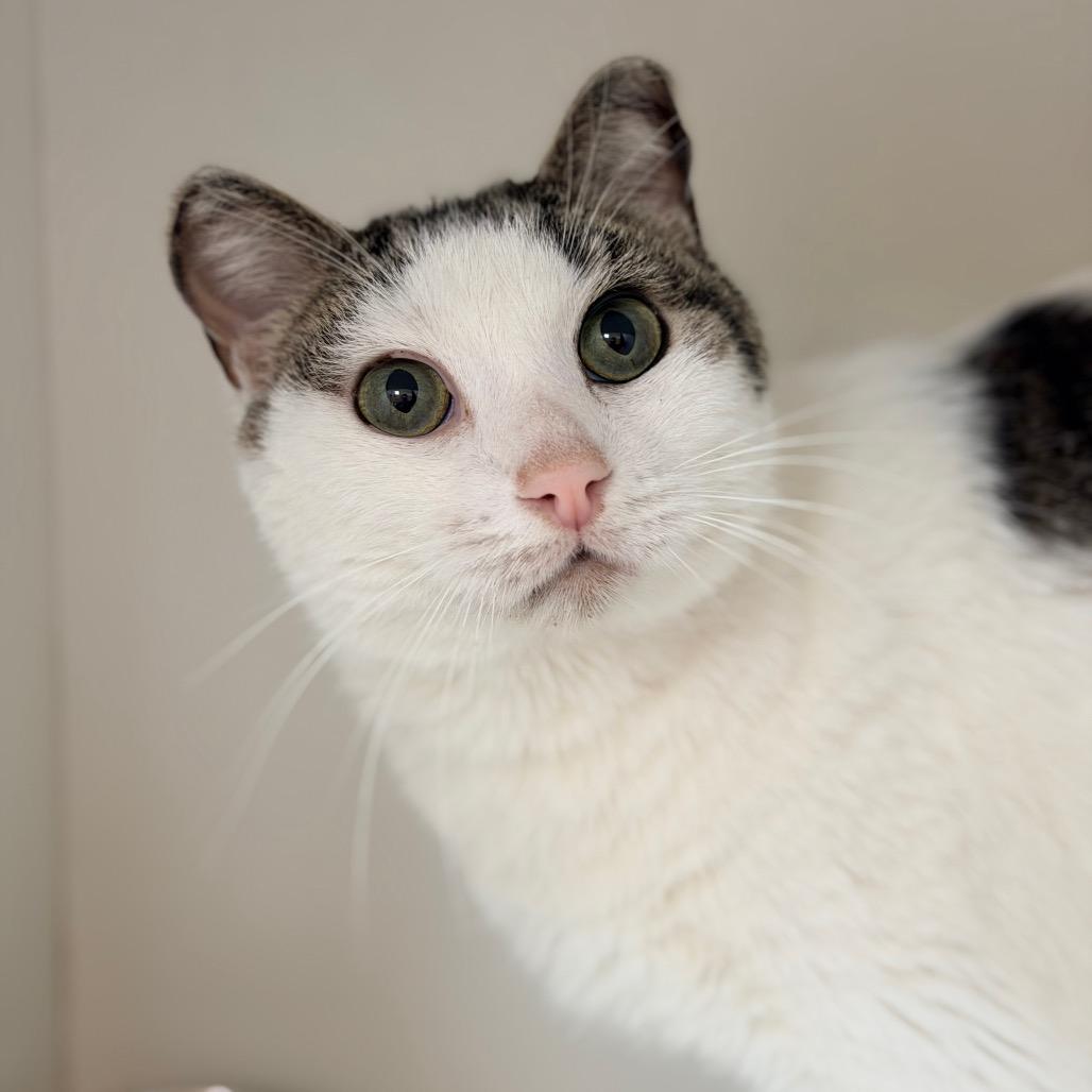 Alexis — thumbnail 4