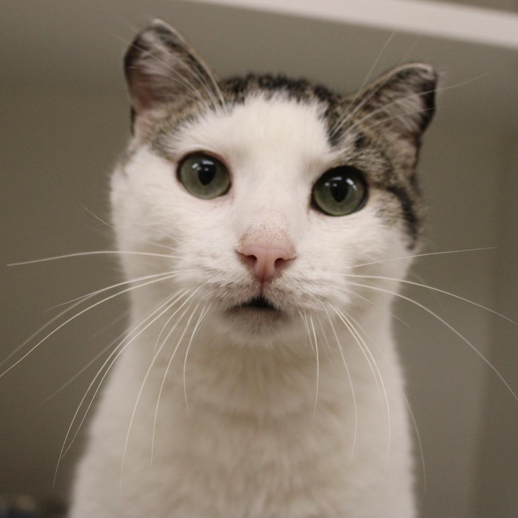 Alexis — thumbnail 5