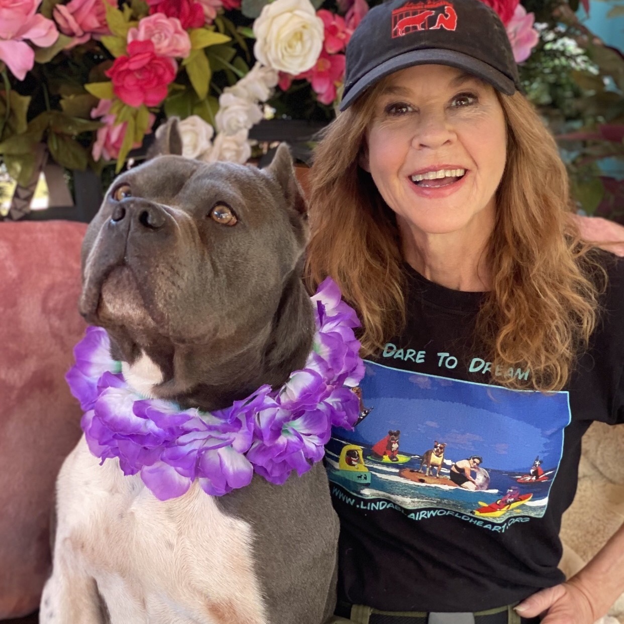 Adorable, gentle, STUEY - VERY LOVING HANDSOME BOY, a Adoptable American Staffordshire Terrier in Acton, CA image 5/6