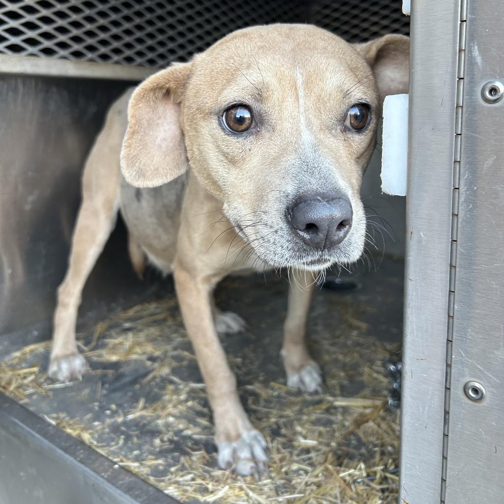 Laura — thumbnail 2