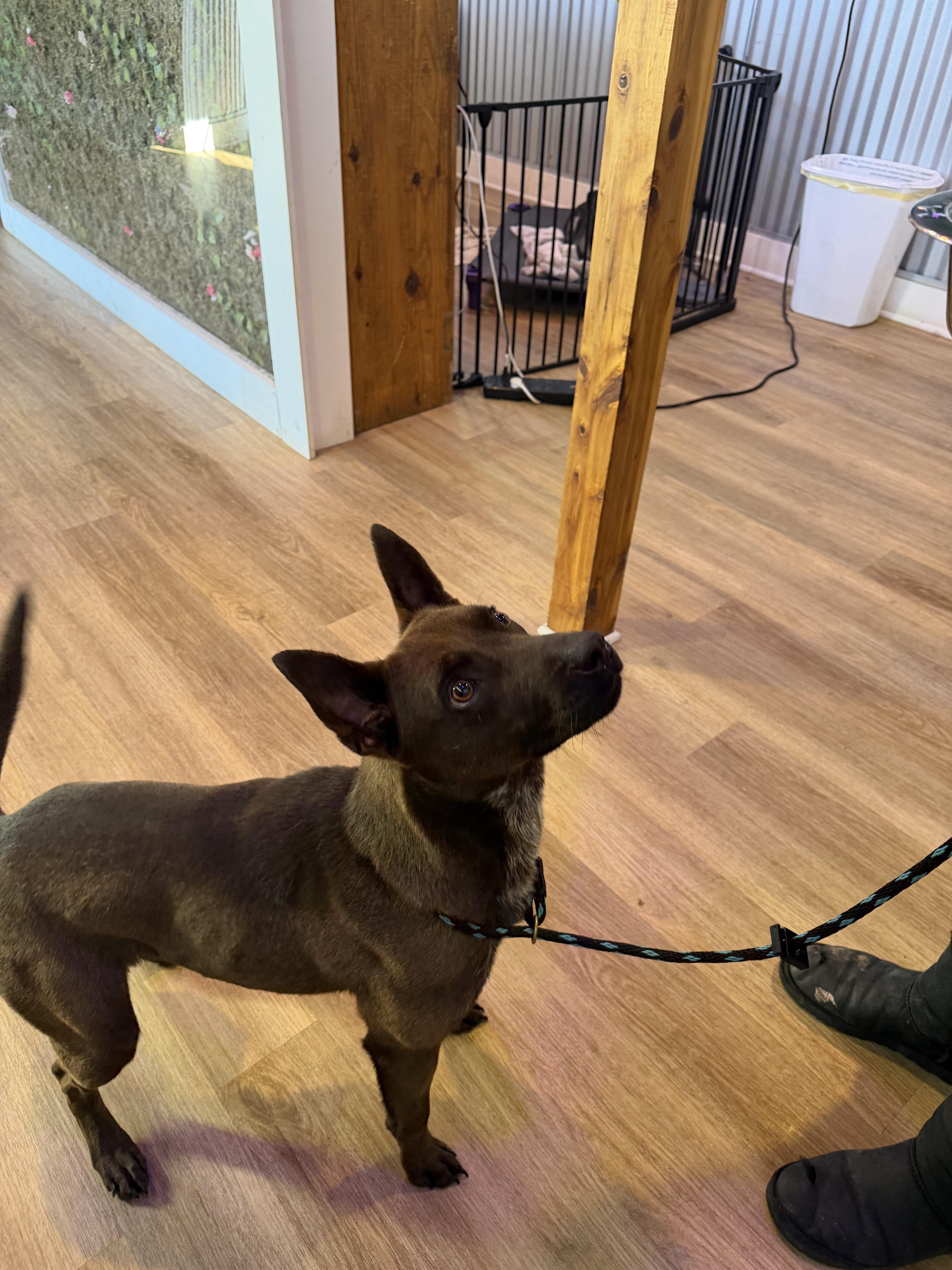 Momma Penelope — thumbnail 4