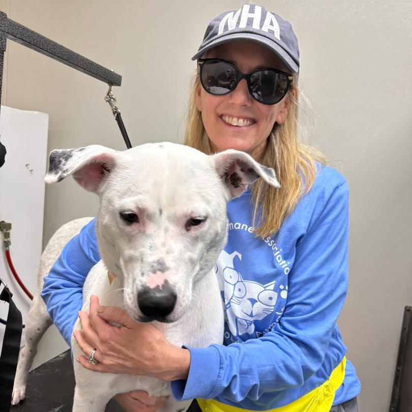 Enlarge Marina, a Adoptable mixed breed in Nashville, TN image 2/6